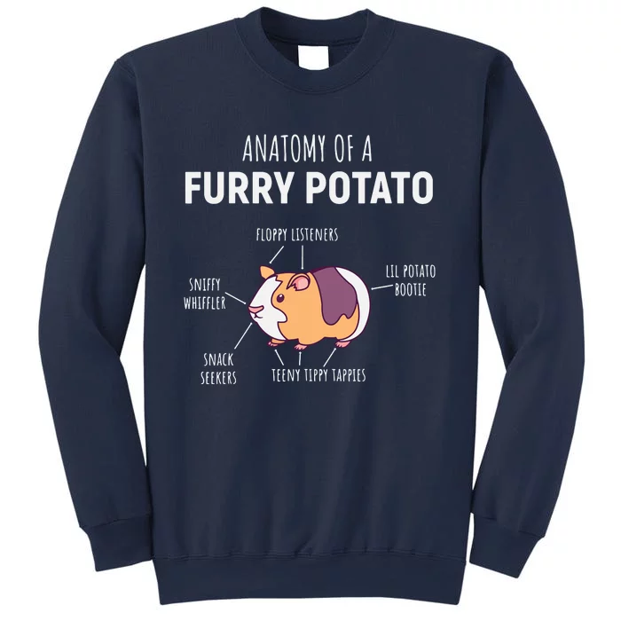 Anatomy Of A Furry Potato Guinea Pig Lover Gift Sweatshirt