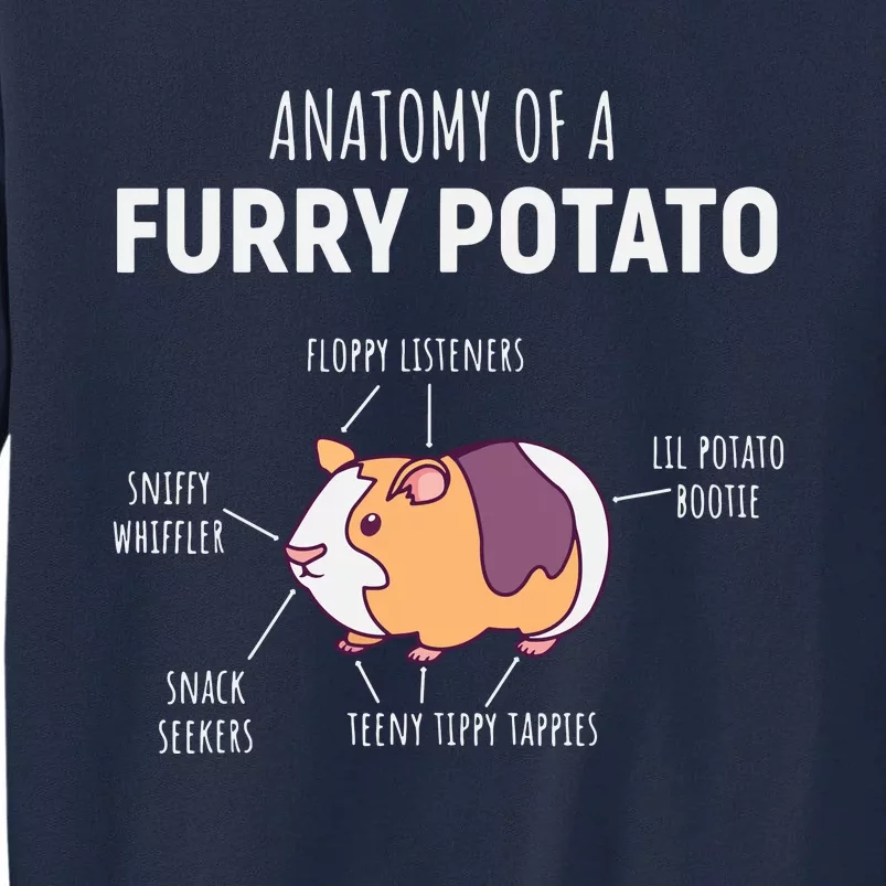 Anatomy Of A Furry Potato Guinea Pig Lover Gift Tall Sweatshirt