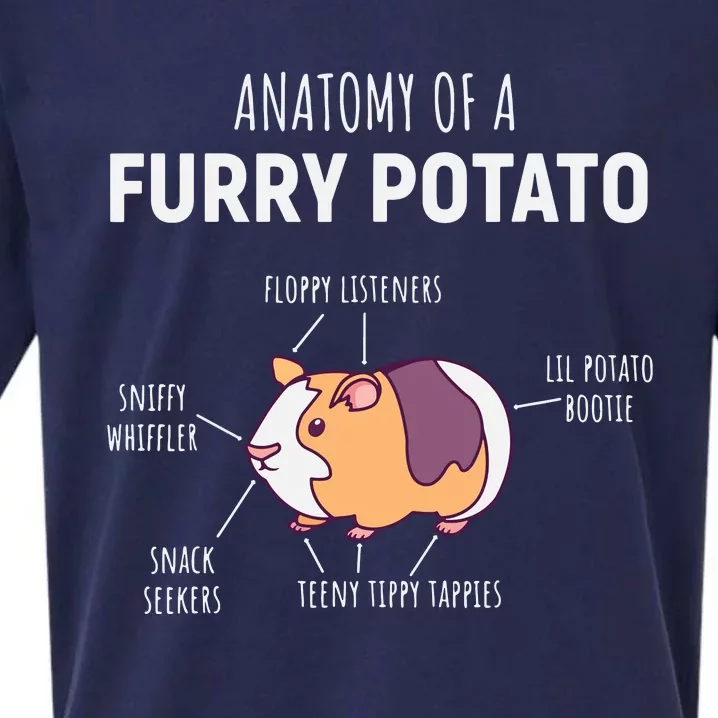 Anatomy Of A Furry Potato Guinea Pig Lover Gift Sueded Cloud Jersey T-Shirt