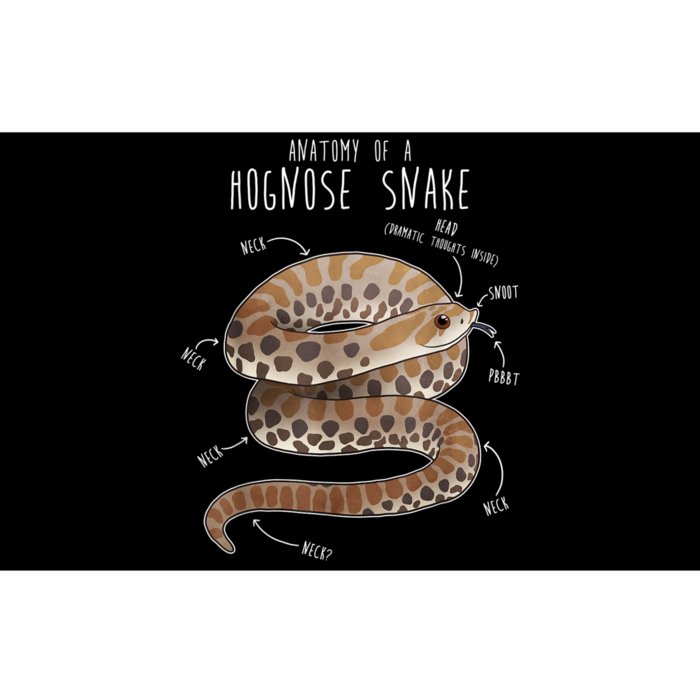 Anatomy Of A Hognose Snake Funny Pet Reptile Animal Lover Bumper Sticker