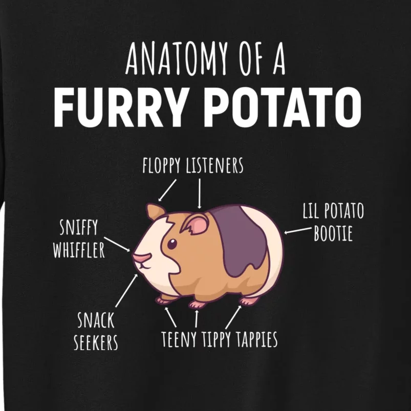 Anatomy Of A Furry Potato Funny Guinea Pig Lover Gift Sweatshirt