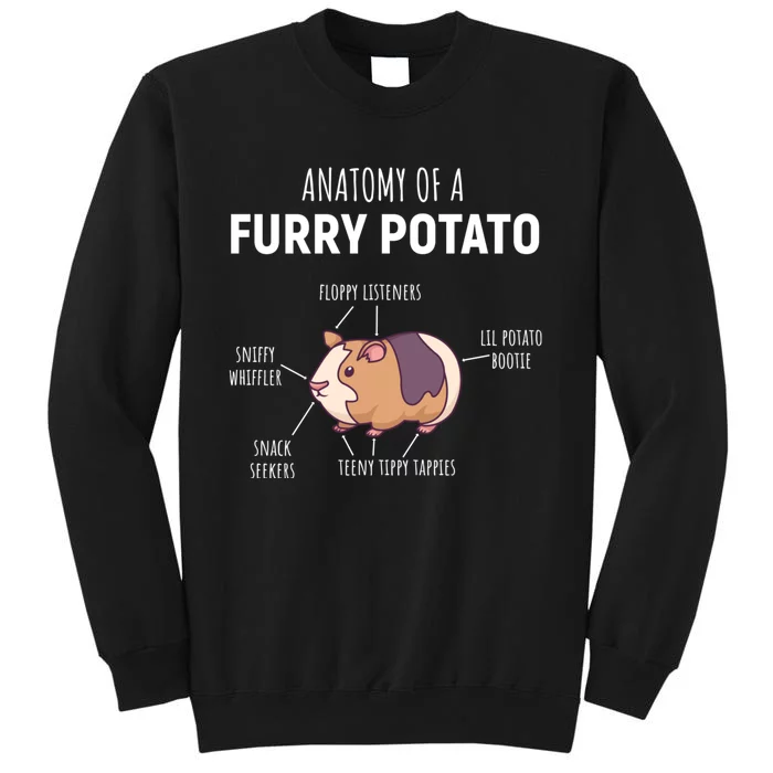 Anatomy Of A Furry Potato Funny Guinea Pig Lover Gift Sweatshirt