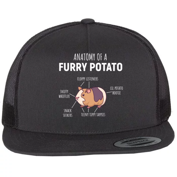 Anatomy Of A Furry Potato Funny Guinea Pig Lover Gift Flat Bill Trucker Hat