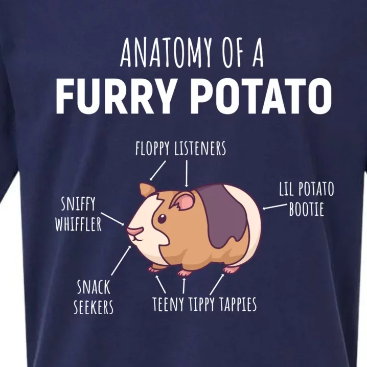 Anatomy Of A Furry Potato Funny Guinea Pig Lover Gift Sueded Cloud Jersey T-Shirt