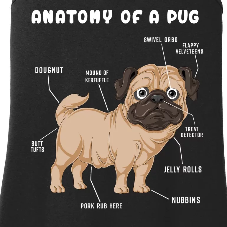 Anatomy Of A Pug Ladies Essential Tank