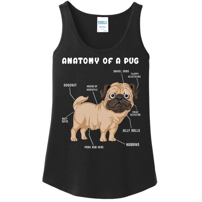 Anatomy Of A Pug Ladies Essential Tank