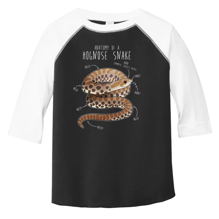 Anatomy Of A Hognose Snake Funny Pet Reptile Animal Lover Toddler Fine Jersey T-Shirt