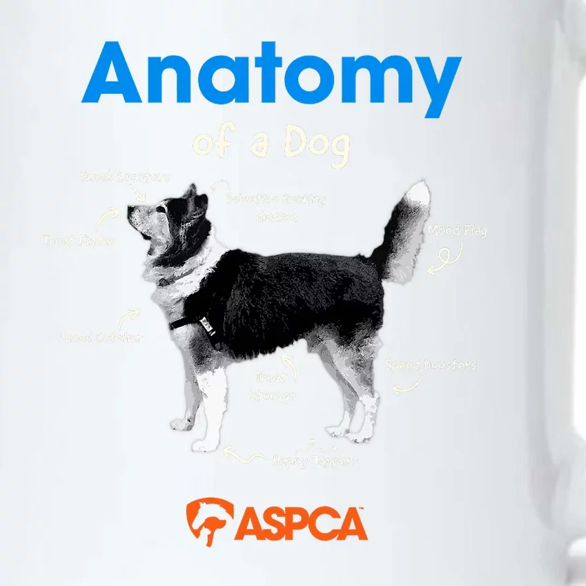 Anatomy Of A Dog Black Color Changing Mug