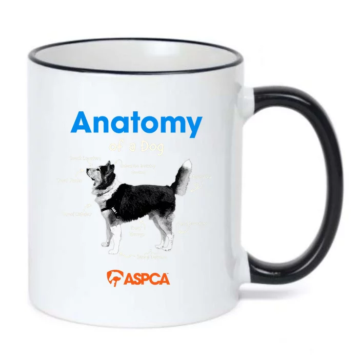 Anatomy Of A Dog Black Color Changing Mug