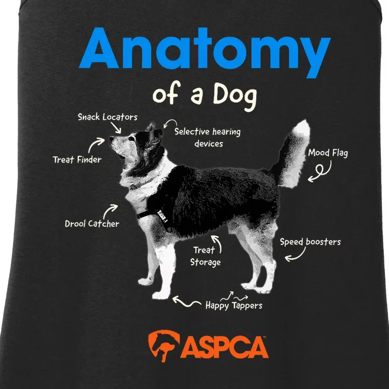 Anatomy Of A Dog Ladies Essential Tank