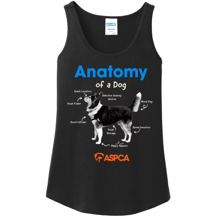 Anatomy Of A Dog Ladies Essential Tank