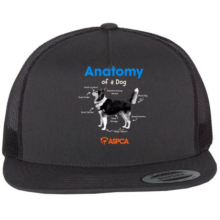 Anatomy Of A Dog Flat Bill Trucker Hat