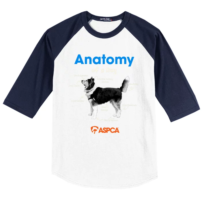 Anatomy Of A Dog Baseball Sleeve Shirt