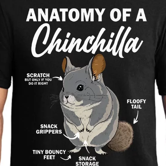 Anatomy Of A Chinchilla For Women Chinchilla Mom Funny Pajama Set