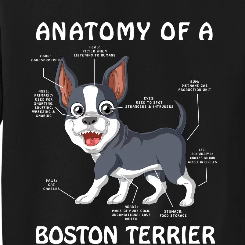 Anatomy Of A Boston Terrier Tall Sweatshirt