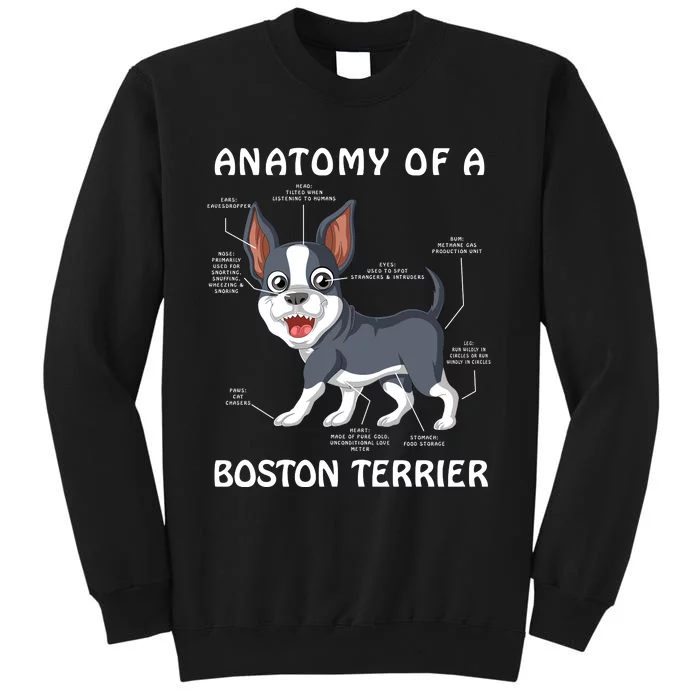 Anatomy Of A Boston Terrier Tall Sweatshirt