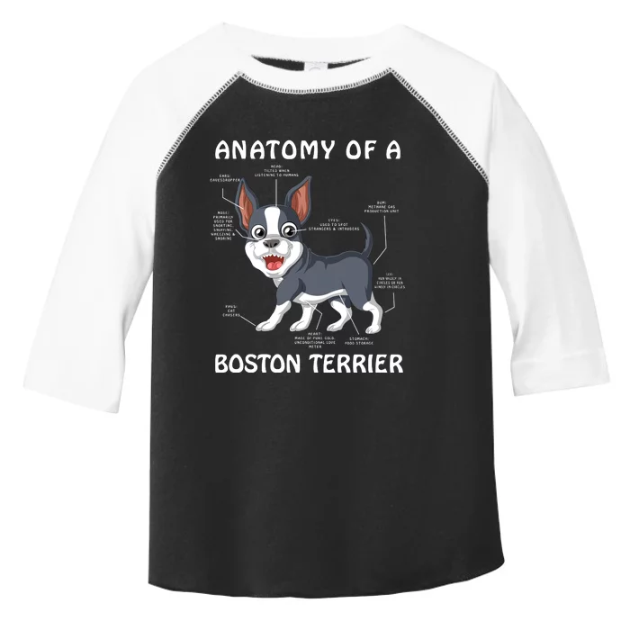 Anatomy Of A Boston Terrier Toddler Fine Jersey T-Shirt