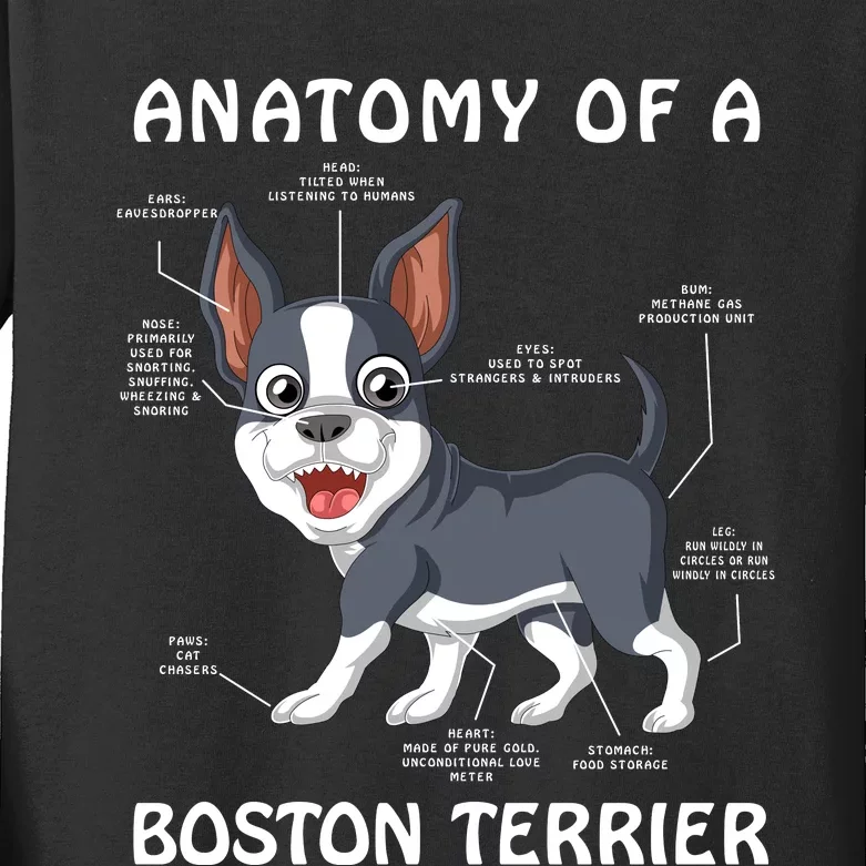 Anatomy Of A Boston Terrier Kids Long Sleeve Shirt