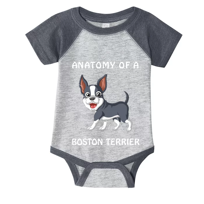 Anatomy Of A Boston Terrier Infant Baby Jersey Bodysuit