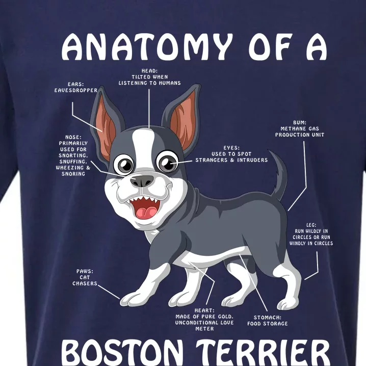 Anatomy Of A Boston Terrier Sueded Cloud Jersey T-Shirt