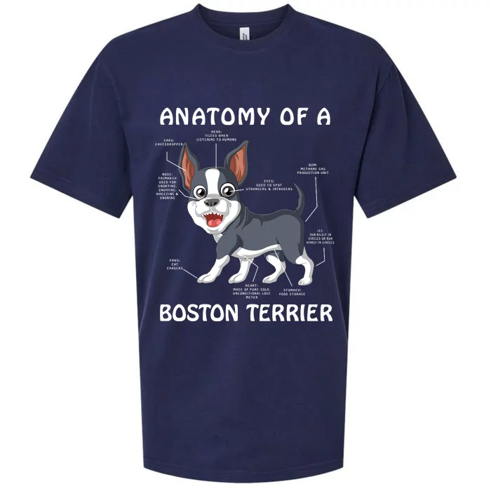 Anatomy Of A Boston Terrier Sueded Cloud Jersey T-Shirt