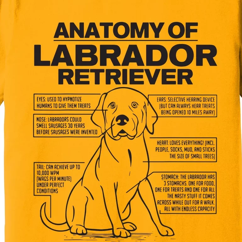 Anatomy Of A Labrador Retriever Funny Dog Owner Gifts Premium T-Shirt