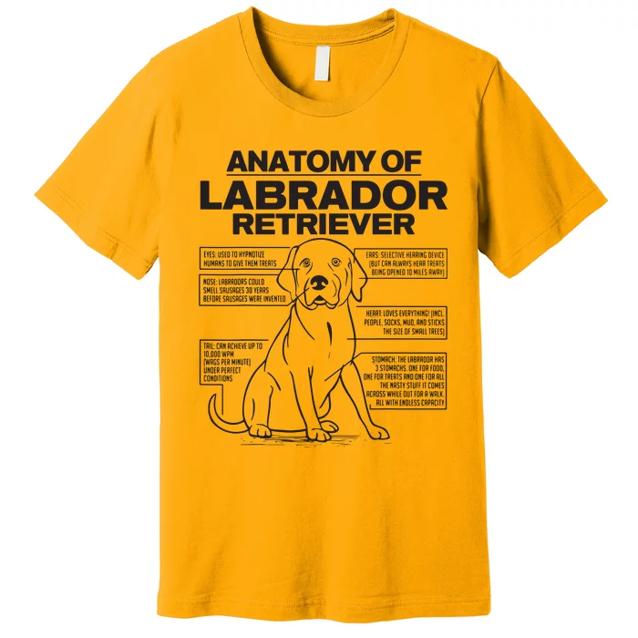 Anatomy Of A Labrador Retriever Funny Dog Owner Gifts Premium T-Shirt