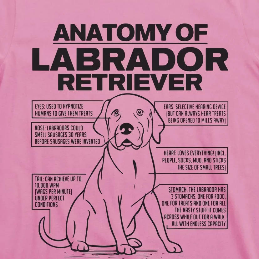 Anatomy Of A Labrador Retriever Funny Dog Owner Gifts T-Shirt