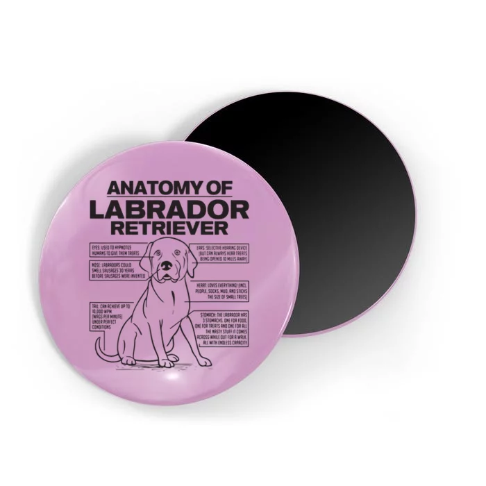 Anatomy Of A Labrador Retriever Funny Dog Owner Gifts Magnet