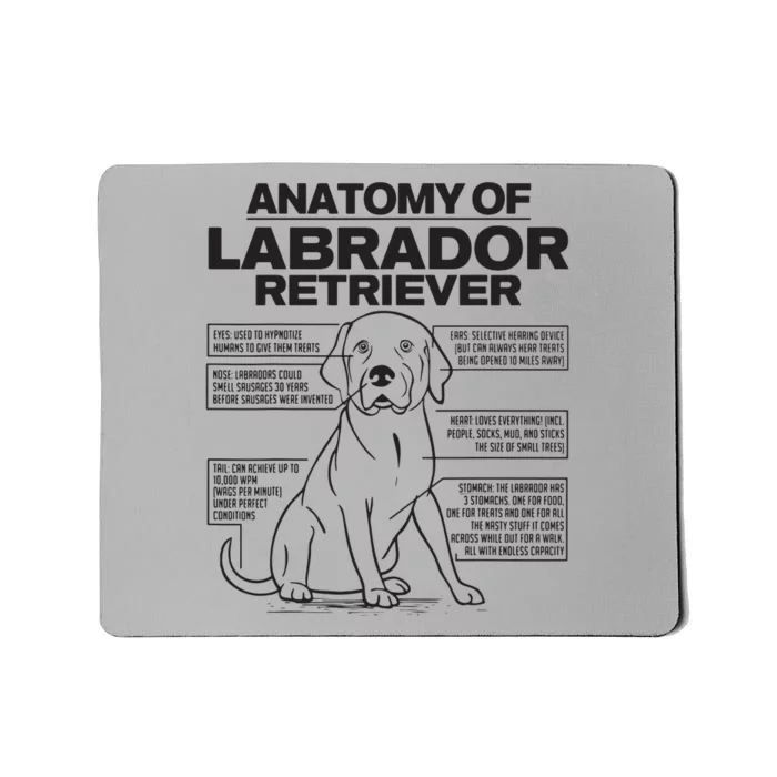 Anatomy Of A Labrador Retriever Funny Dog Owner Gifts Mousepad