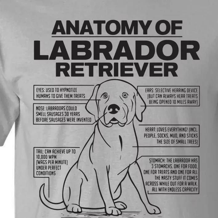 Anatomy Of A Labrador Retriever Funny Dog Owner Gifts Tall T-Shirt