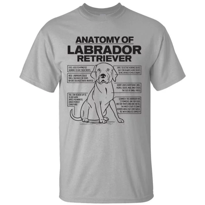 Anatomy Of A Labrador Retriever Funny Dog Owner Gifts Tall T-Shirt