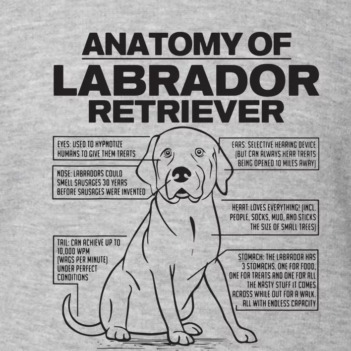 Anatomy Of A Labrador Retriever Funny Dog Owner Gifts Toddler Sweatshirt