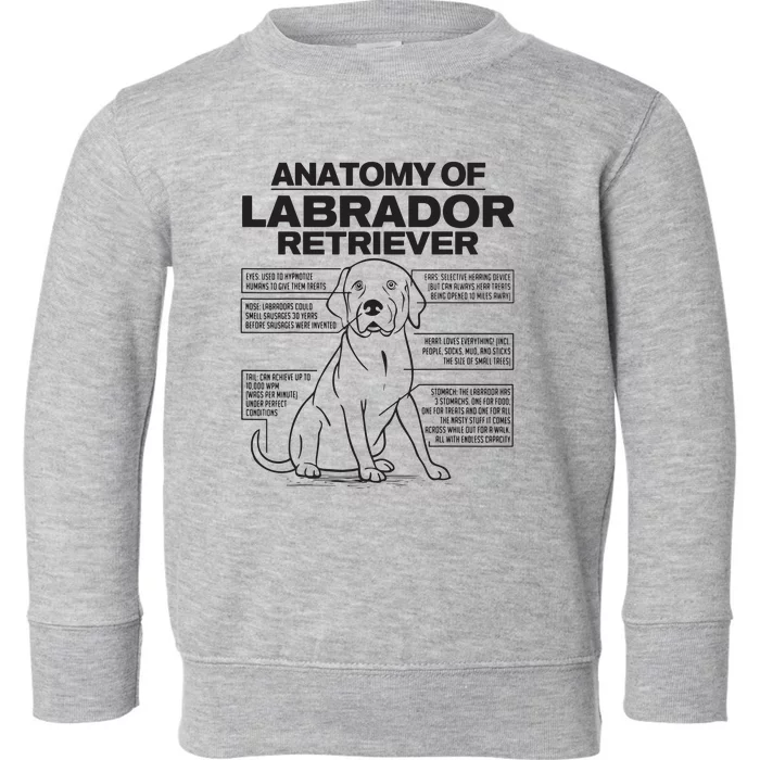 Anatomy Of A Labrador Retriever Funny Dog Owner Gifts Toddler Sweatshirt