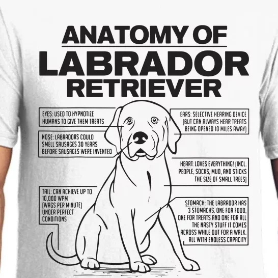 Anatomy Of A Labrador Retriever Funny Dog Owner Gifts Pajama Set