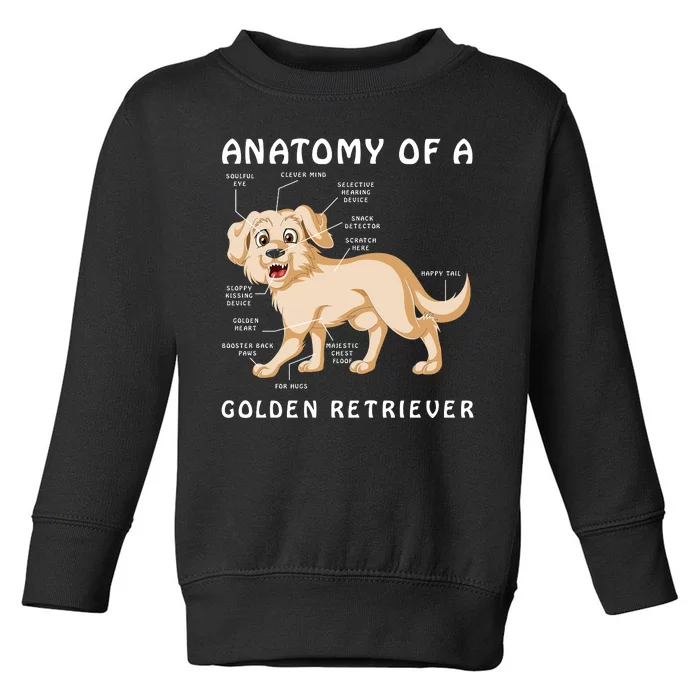 Anatomy Of A Golden Retriver Toddler Sweatshirt