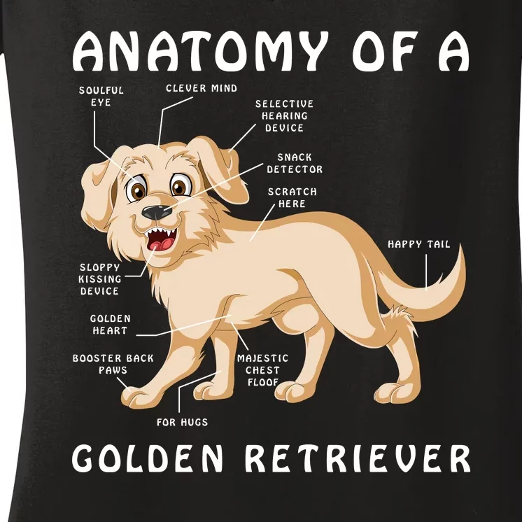 Anatomy Of A Golden Retriver Women's V-Neck T-Shirt