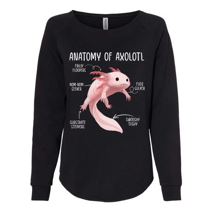 Anatomy Of Axolotl For Aquarium Pet Animal Womens California Wash Sweatshirt