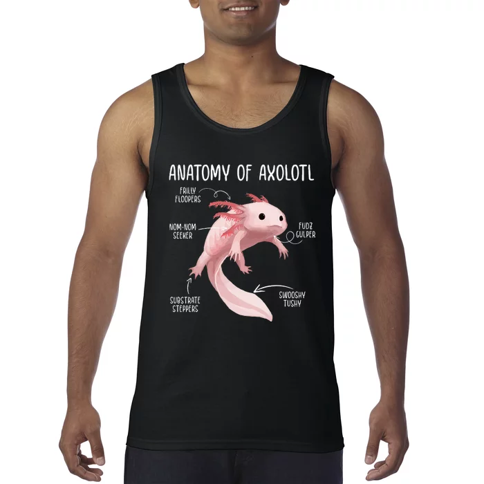 Anatomy Of Axolotl For Aquarium Pet Animal Tank Top