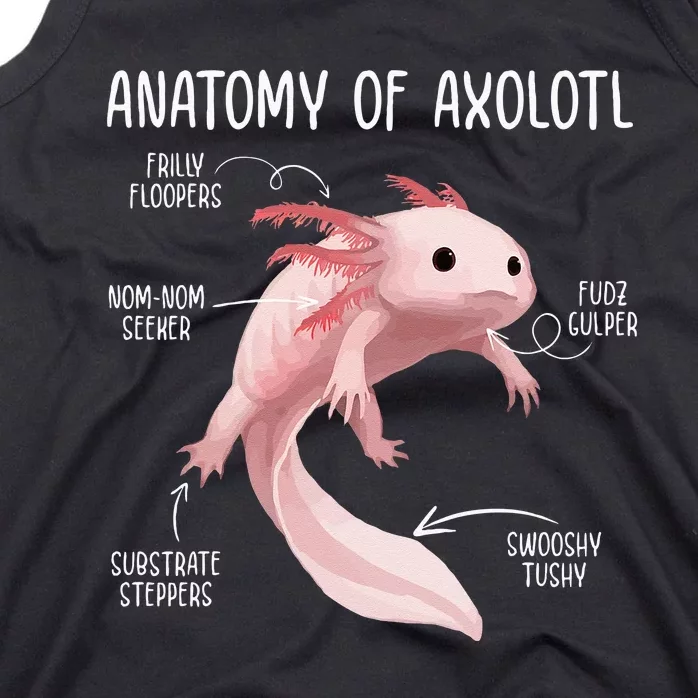 Anatomy Of Axolotl For Aquarium Pet Animal Tank Top