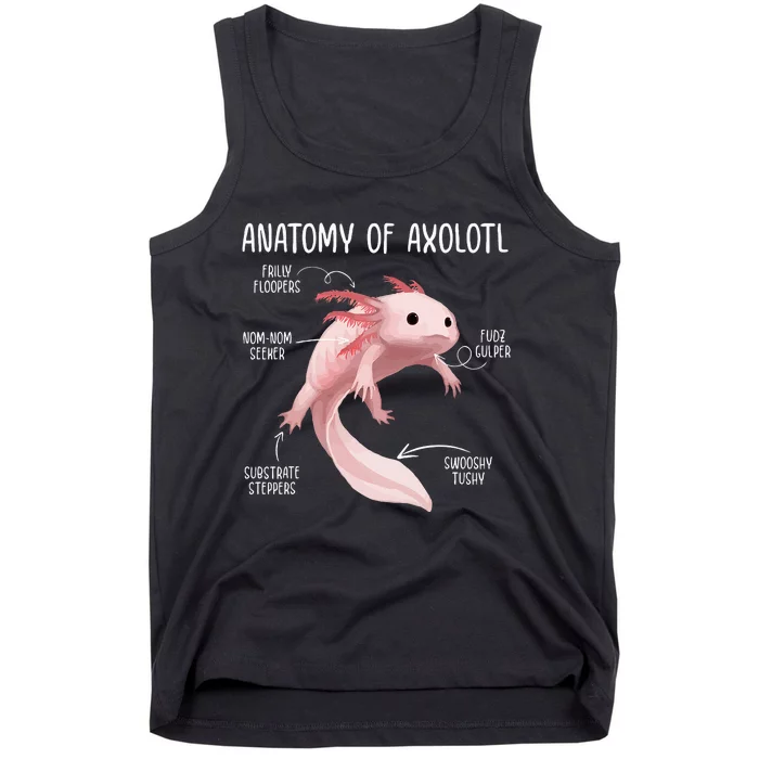 Anatomy Of Axolotl For Aquarium Pet Animal Tank Top