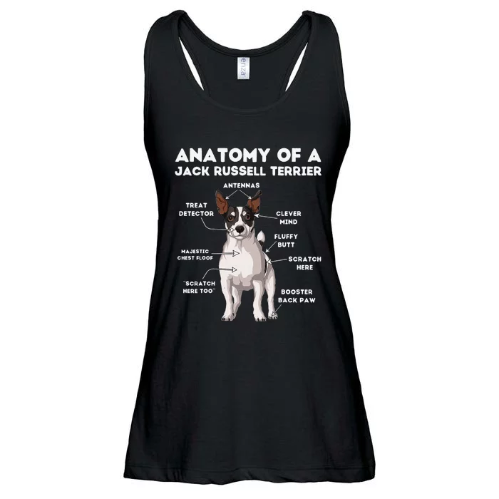 Anatomy of a Jack Russell Terrier Ladies Essential Flowy Tank