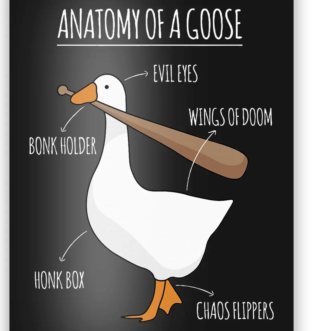 Anatomy Of A Goose Meme Poster