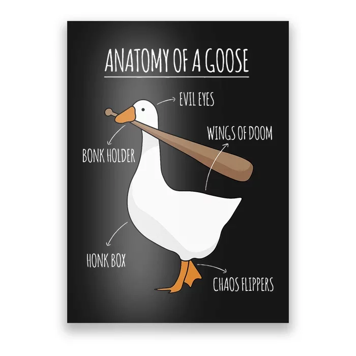 Anatomy Of A Goose Meme Poster