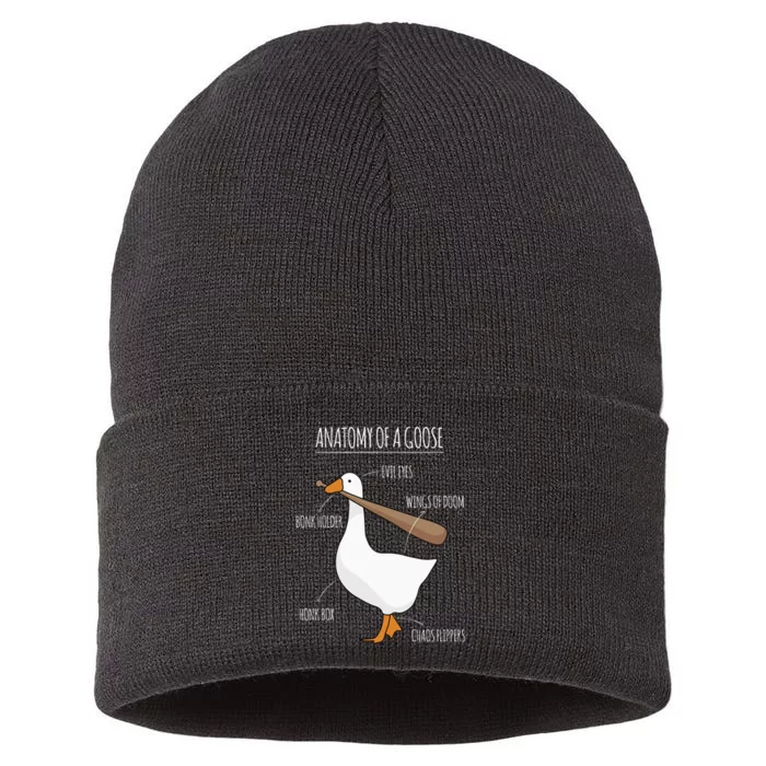 Anatomy Of A Goose Meme Sustainable Knit Beanie