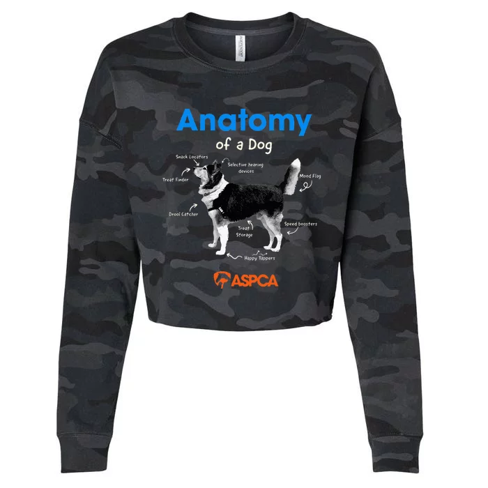 Anatomy Of A Dog Cropped Pullover Crew