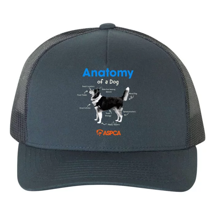 Anatomy Of A Dog Yupoong Adult 5-Panel Trucker Hat