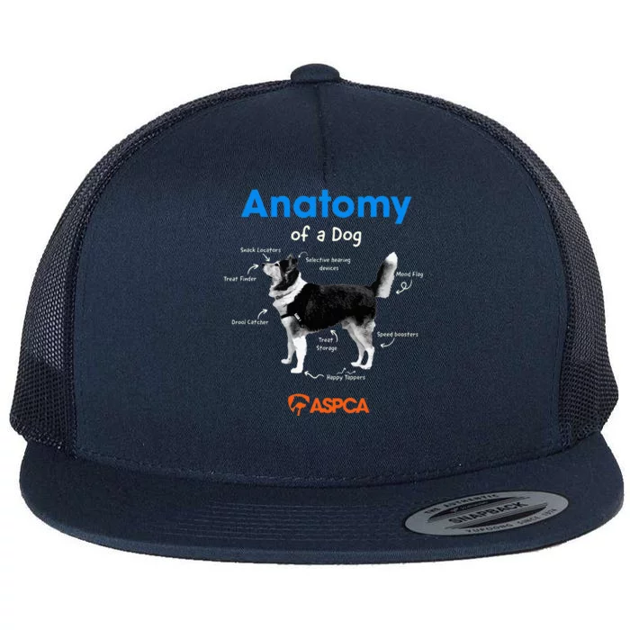 Anatomy Of A Dog Flat Bill Trucker Hat