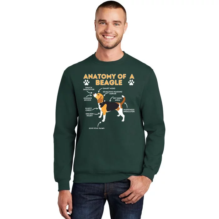 Anatomy Of A Beagle Funny Beagle Dog Lover Pet Owner Sweatshirt