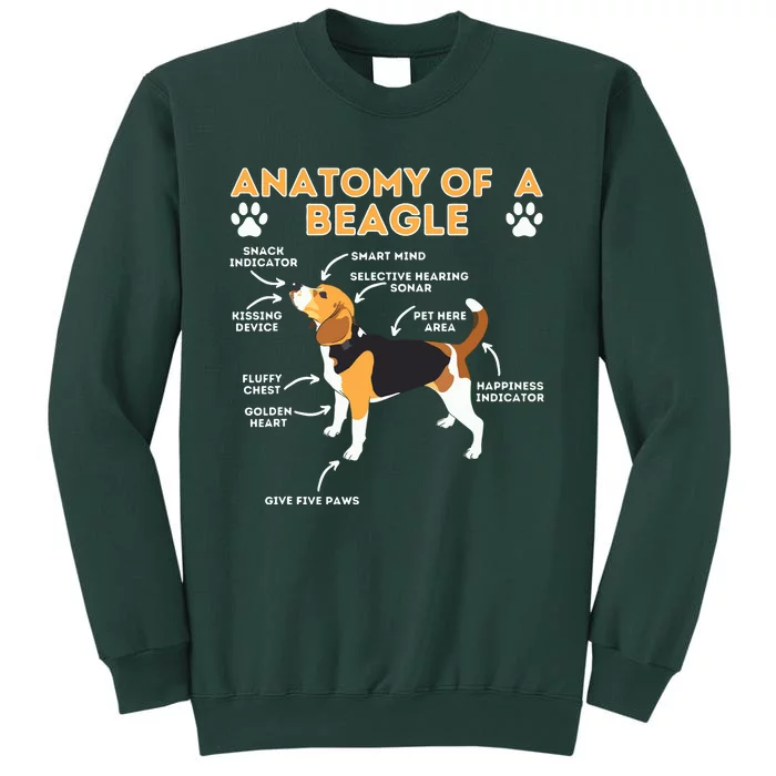 Anatomy Of A Beagle Funny Beagle Dog Lover Pet Owner Sweatshirt